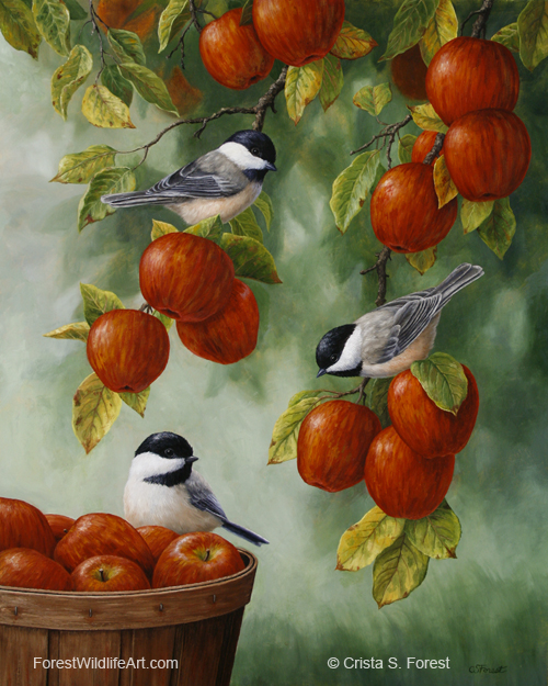 Apple Harvest Chickadees Oil painting of black-capped chickadees in an apple tree, by wildlife artist Crista Forest. ForestWildlifeArt.com Prints Available.