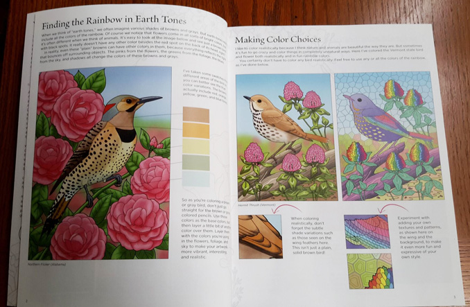 Birds At Home Coloring Book by Crista Forest