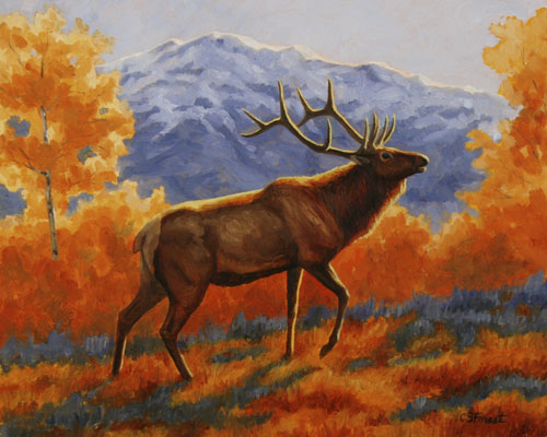 bull elk oil painting