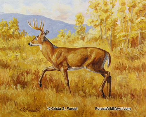 whitetail deer oil painting