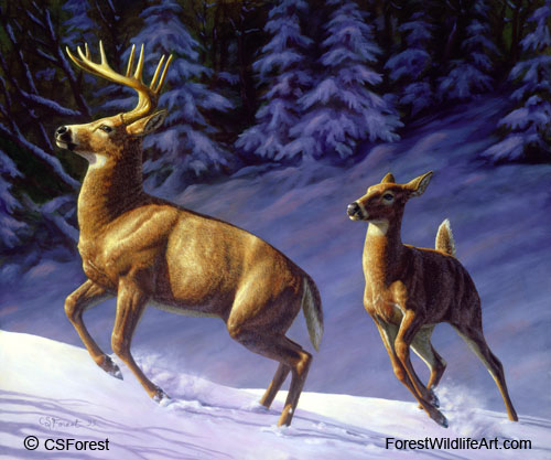 whitetail deer in winter oil painting