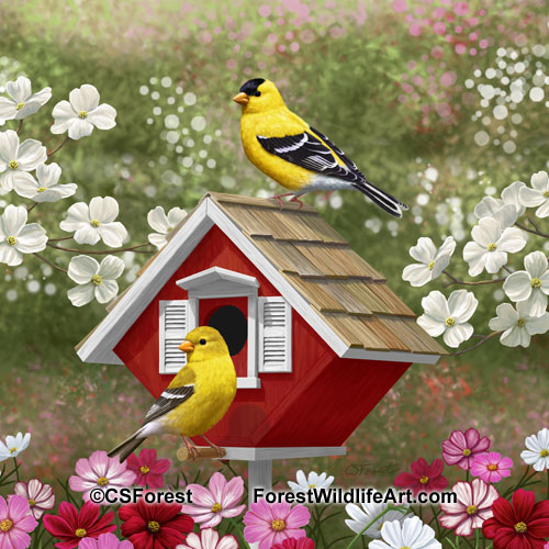 Goldfinches and cute red birdhouse